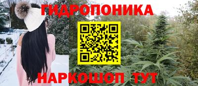 герыч Кингисепп