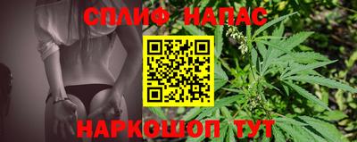 герыч Кингисепп