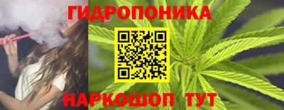 ECSTASY Кимры