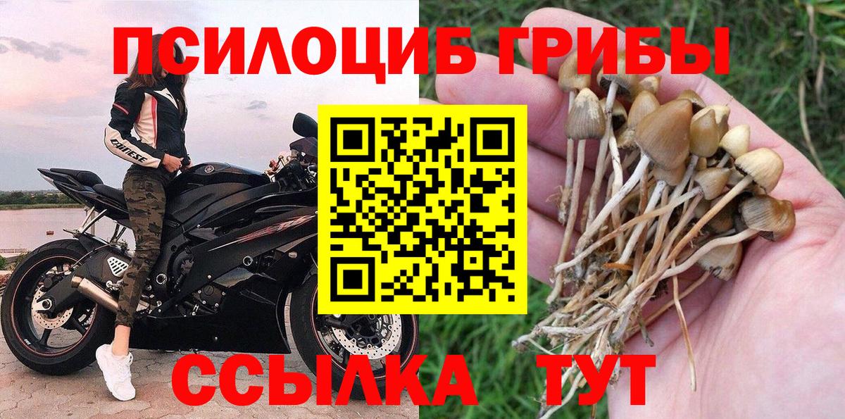 Псилоцибиновые грибы Magic Shrooms Королёв
