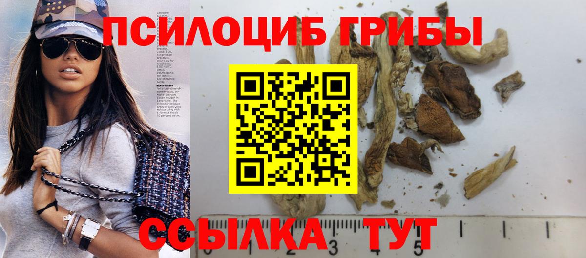 Псилоцибиновые грибы мухоморы  Галлюциногенные грибы Magic Shrooms  Вход с VPN  продажа наркотиков  Королёв 